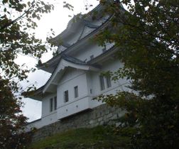 Iga ueno-castle
